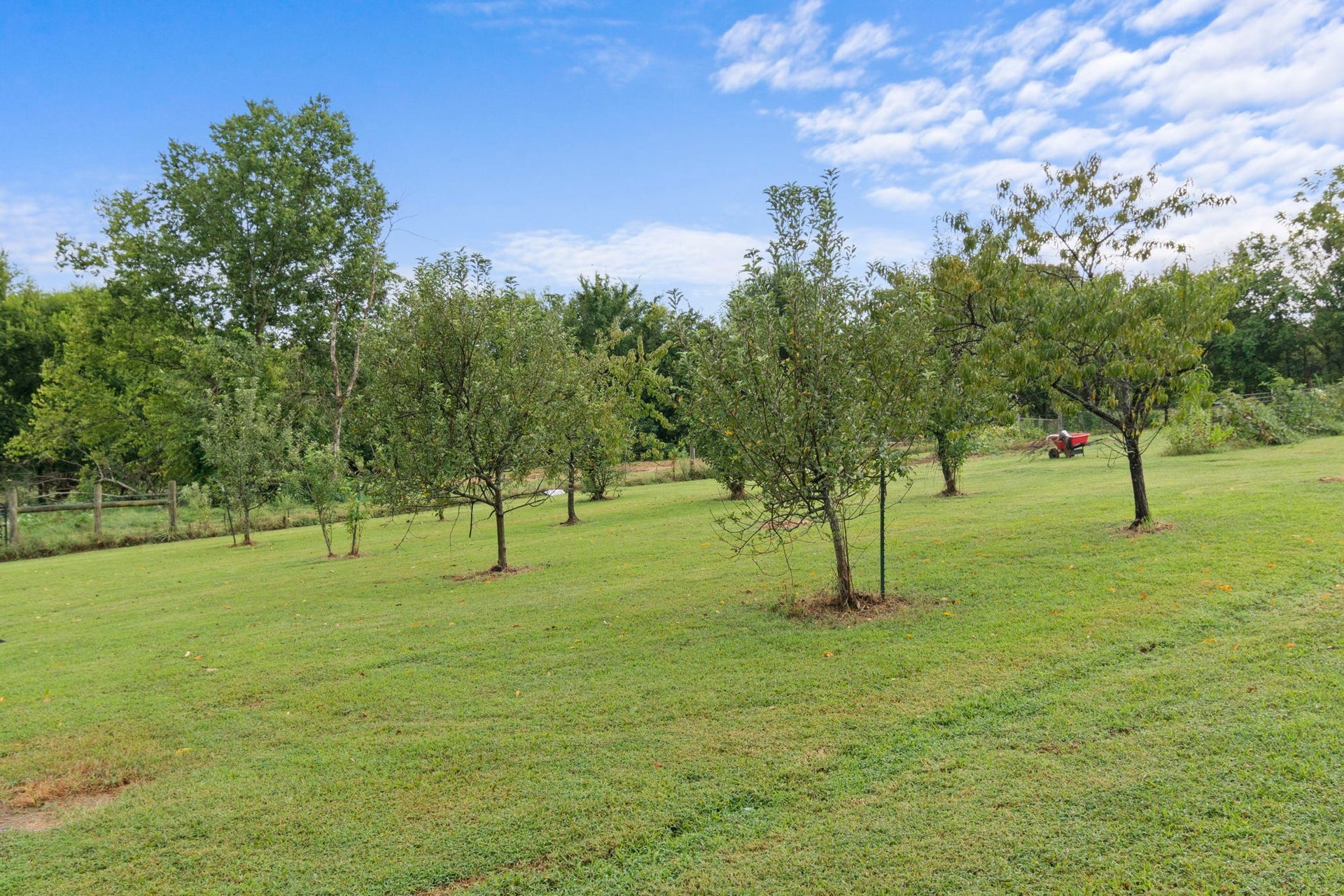 3689 Trousdale Ln, Columbia, TN 38401 3689 Trousdale Ln, Columbia, TN 38401