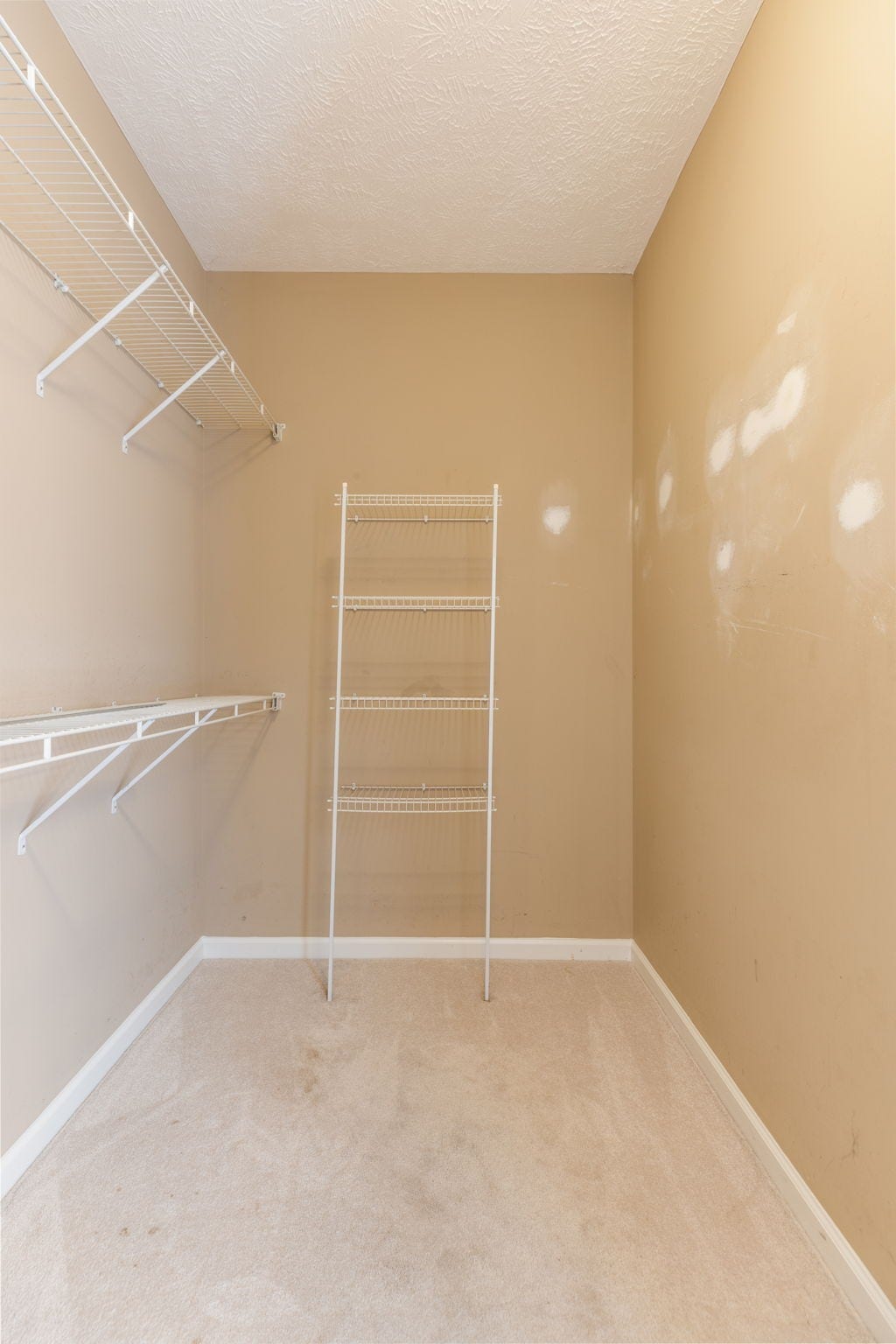 1409 Goodnight Ct, Nashville, TN 37207 Primary walk-in closet
