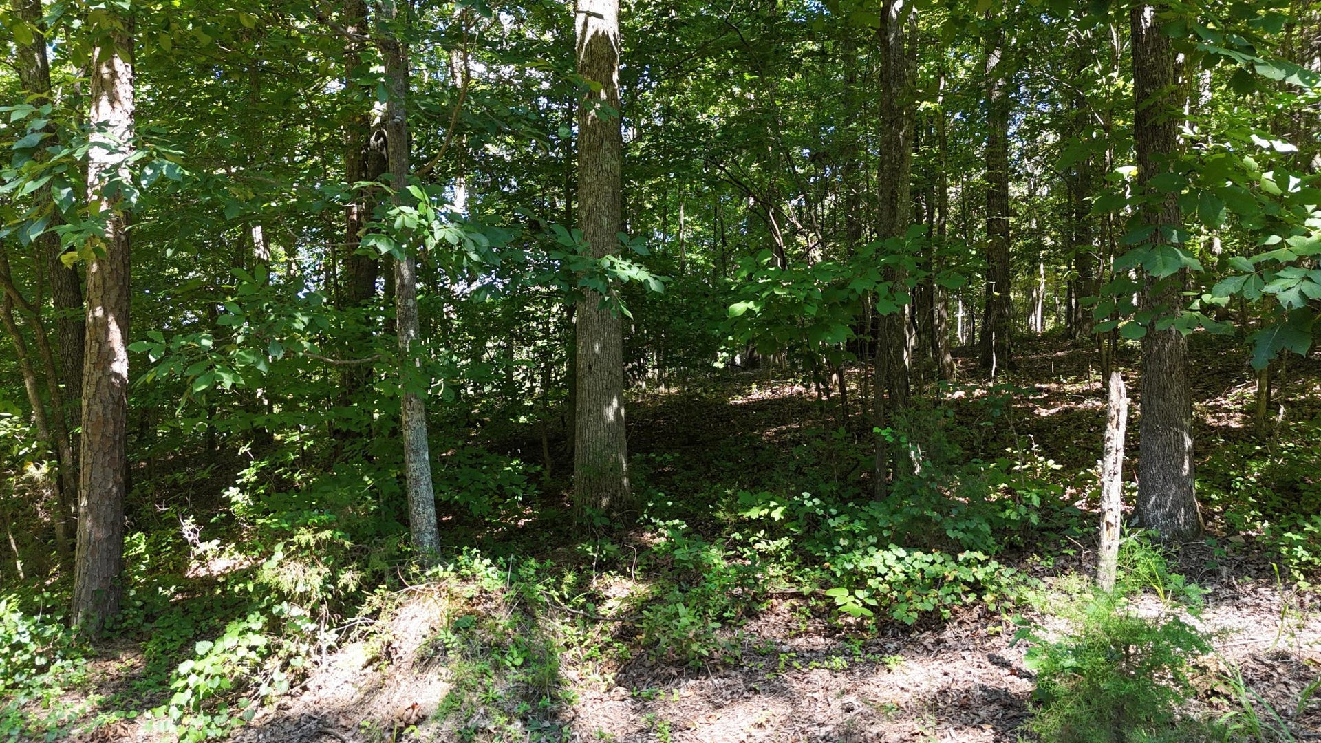 0 Fezzell Road, Decatur, TN 37322 0 Fezzell Road, Decatur, TN 37322