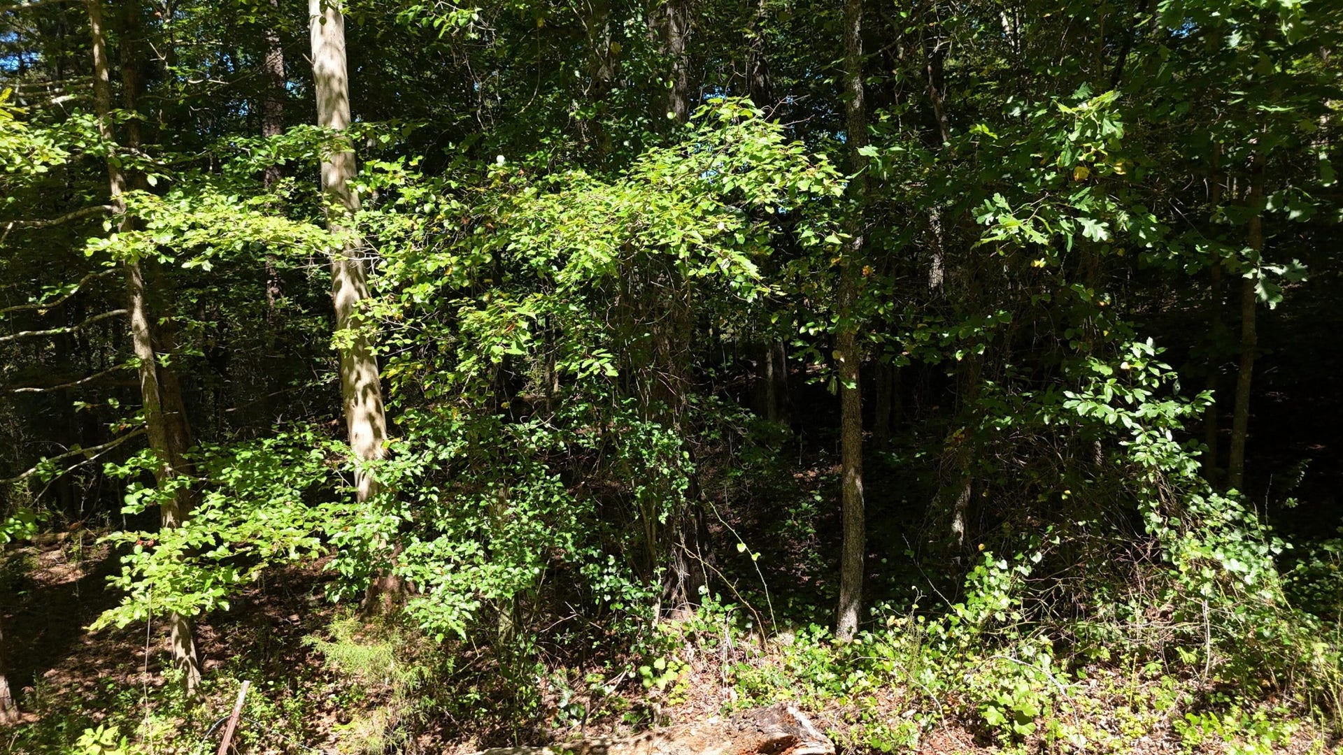 0 Fezzell Road, Decatur, TN 37322 0 Fezzell Road, Decatur, TN 37322
