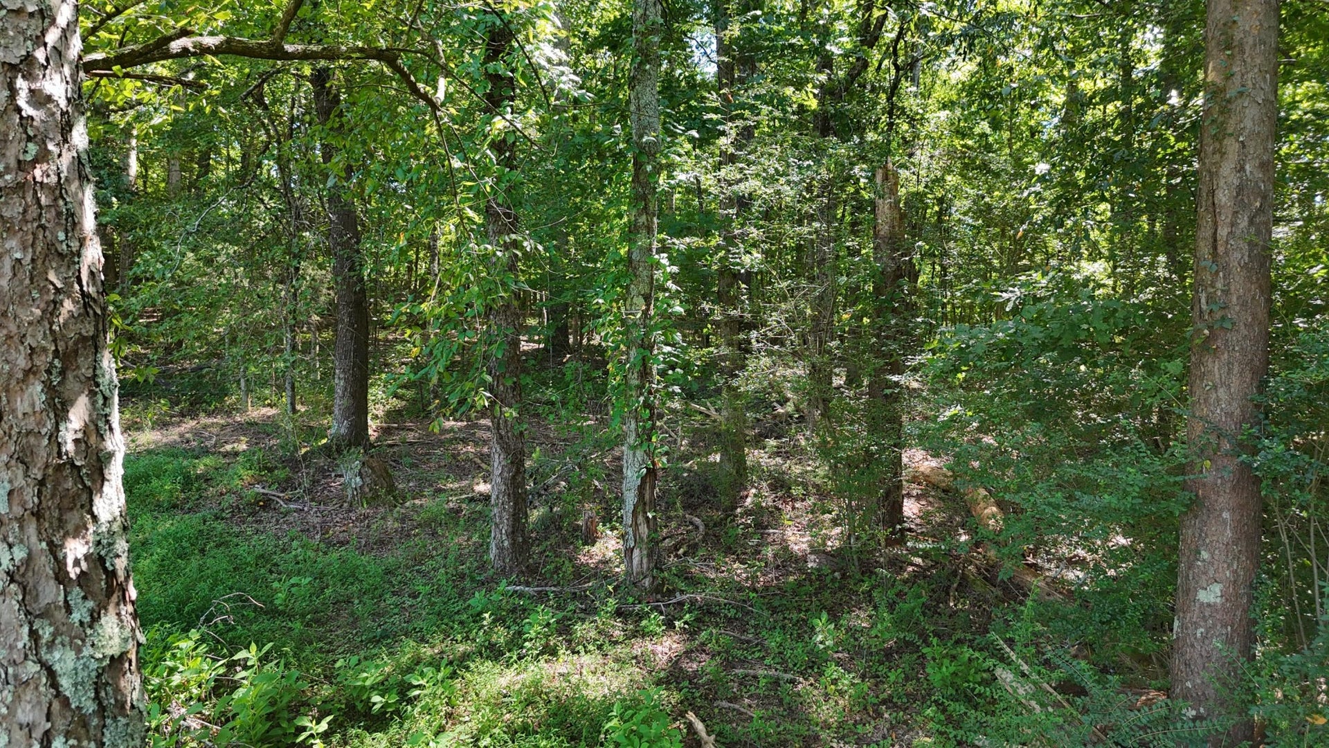 0 Fezzell Road, Decatur, TN 37322 0 Fezzell Road, Decatur, TN 37322