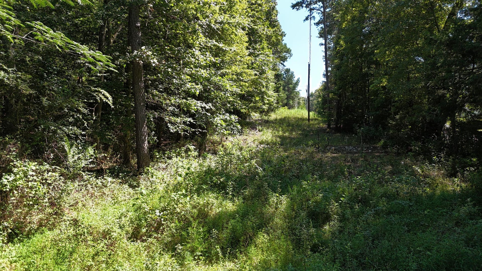 0 Fezzell Road, Decatur, TN 37322 0 Fezzell Road, Decatur, TN 37322