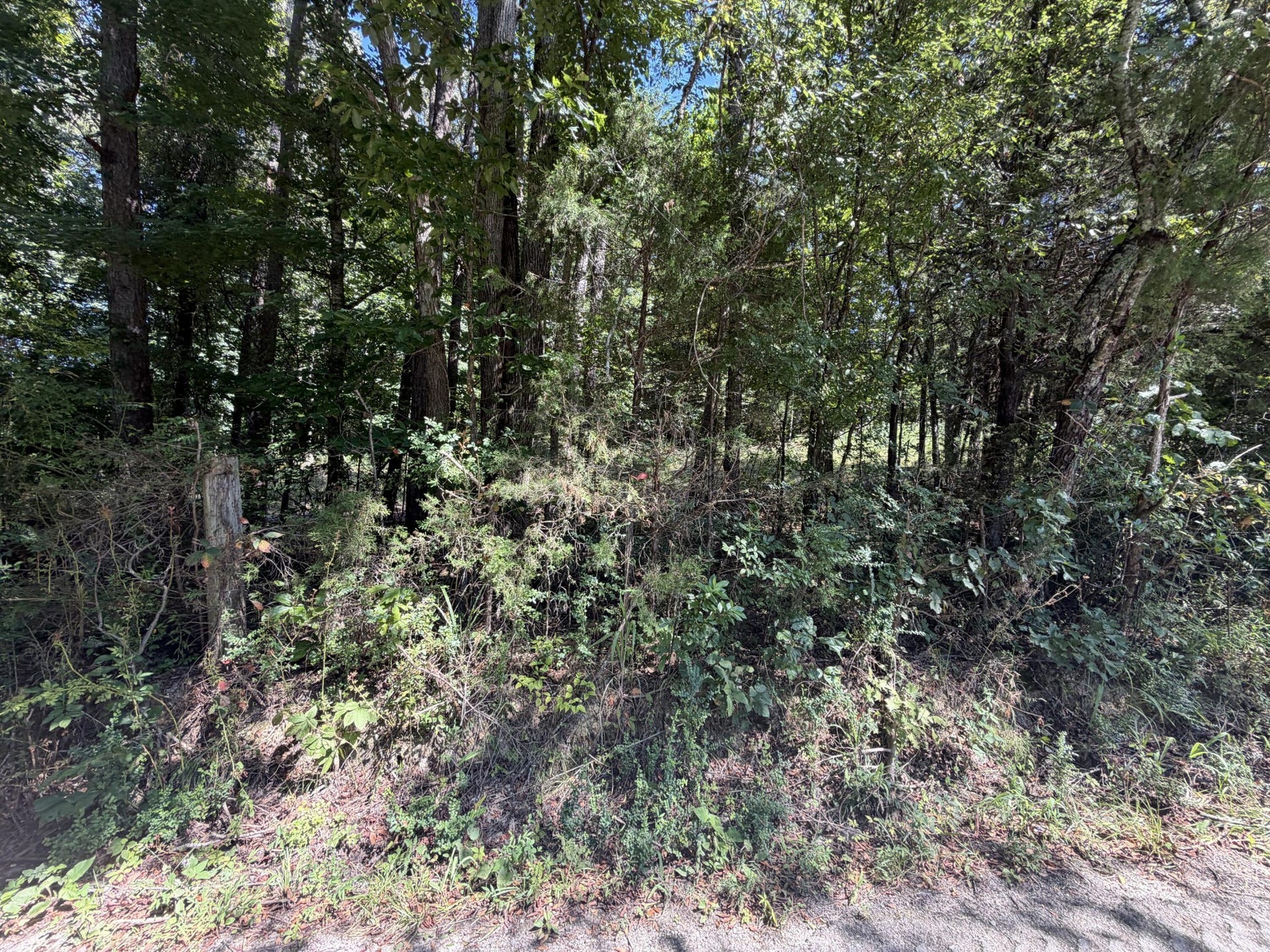 0 Fezzell Road, Decatur, TN 37322 0 Fezzell Road, Decatur, TN 37322