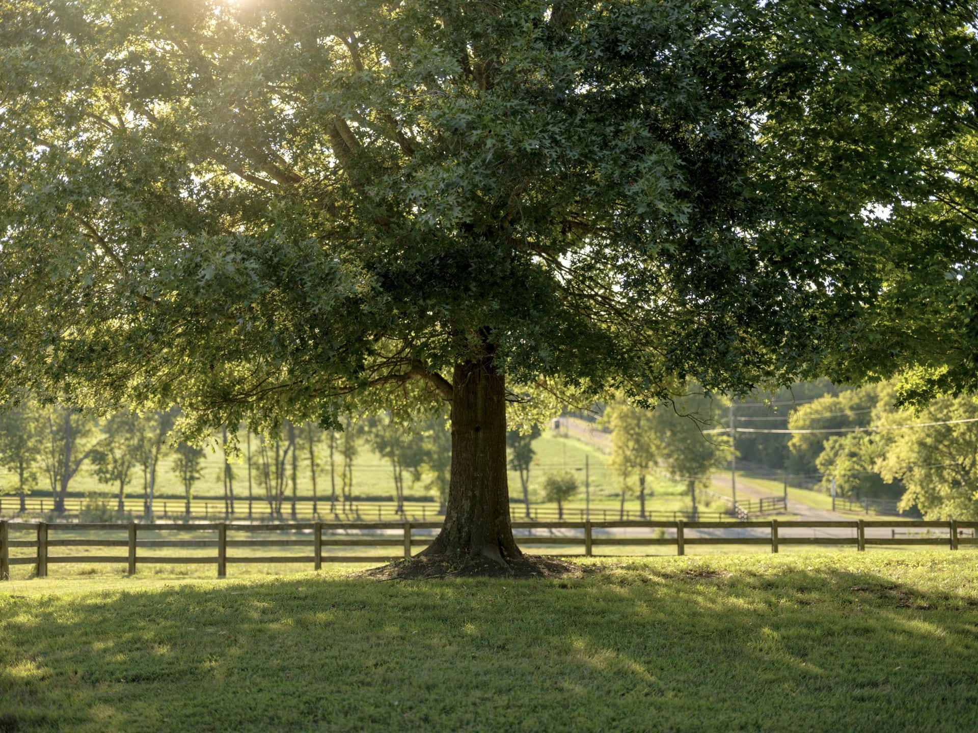 8005 Dry Creek Rd, Mount Pleasant, TN 38474 8005 Dry Creek Rd, Mount Pleasant, TN 38474
