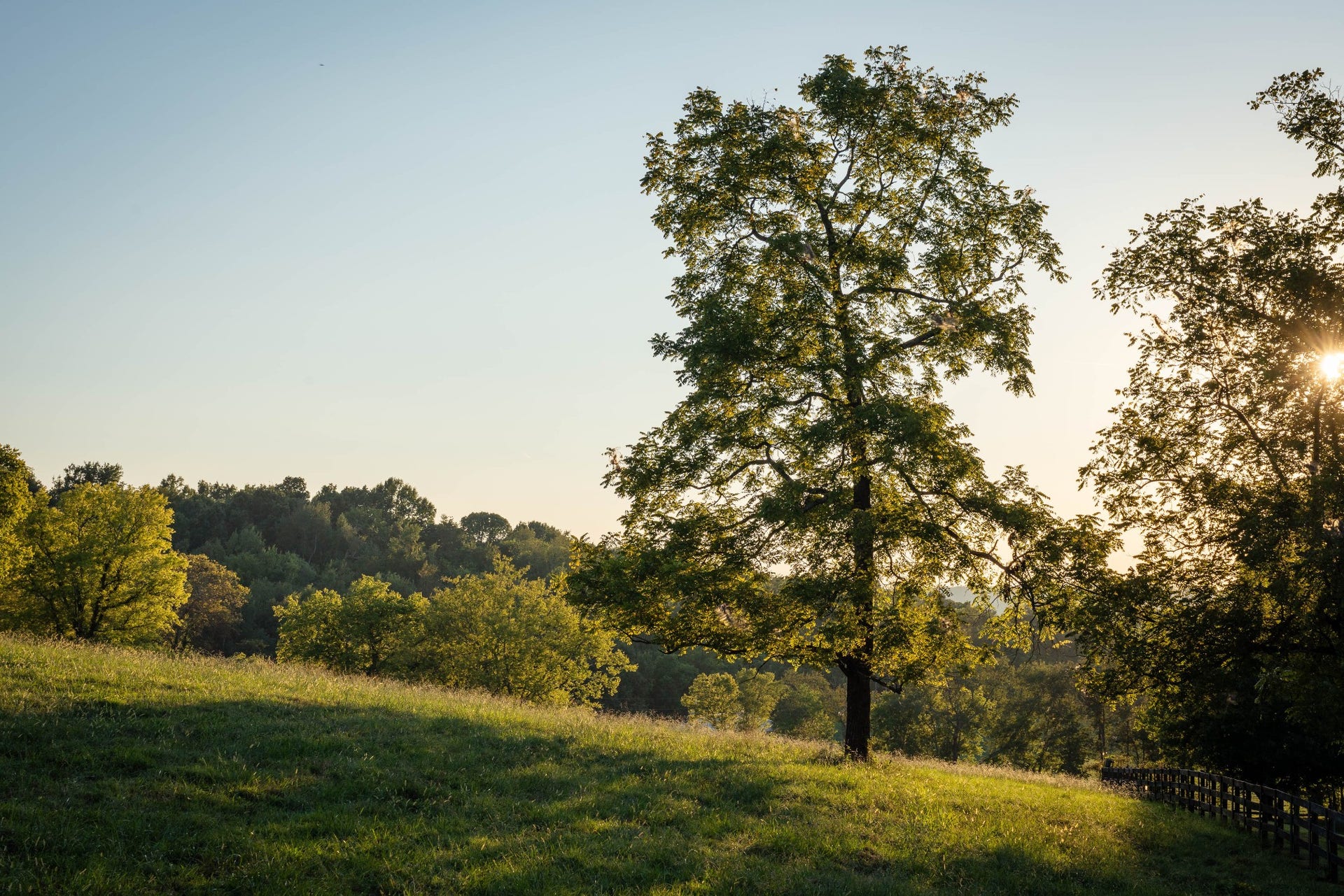 8005 Dry Creek Rd, Mount Pleasant, TN 38474 8005 Dry Creek Rd, Mount Pleasant, TN 38474