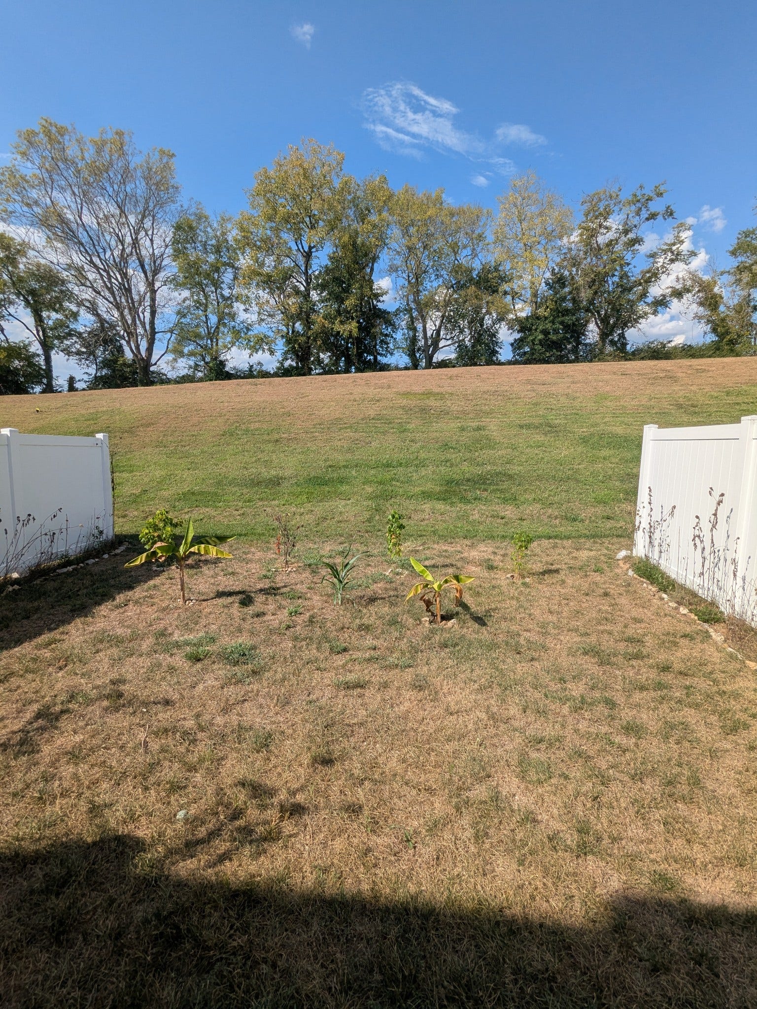 1100 June Wilde Rdg, Spring Hill, TN 37174 1100 June Wilde Rdg, Spring Hill, TN 37174