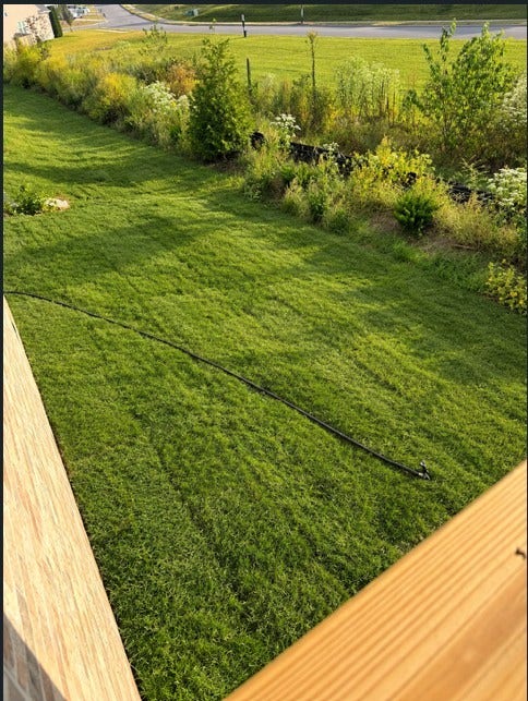 3322 Parmenter Street, Columbia, TN 38401 Grass made greener by AI. Lot was sodded 10/1