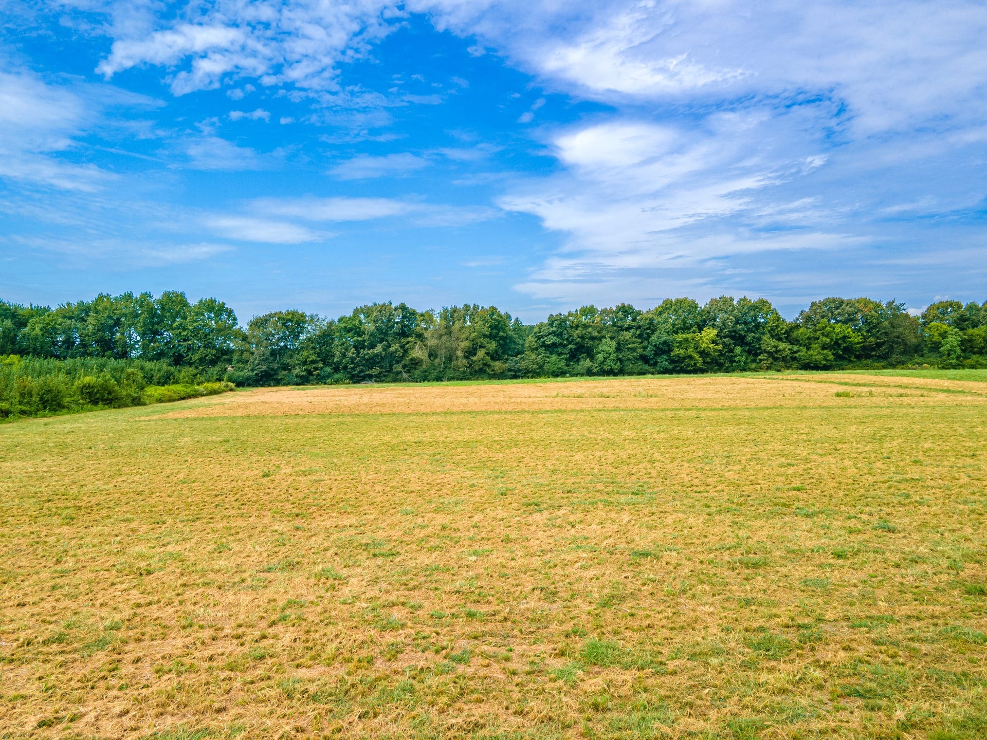 0 Lauren Lane, Mount Pleasant, TN 38474 0 Lauren Lane, Mount Pleasant, TN 38474