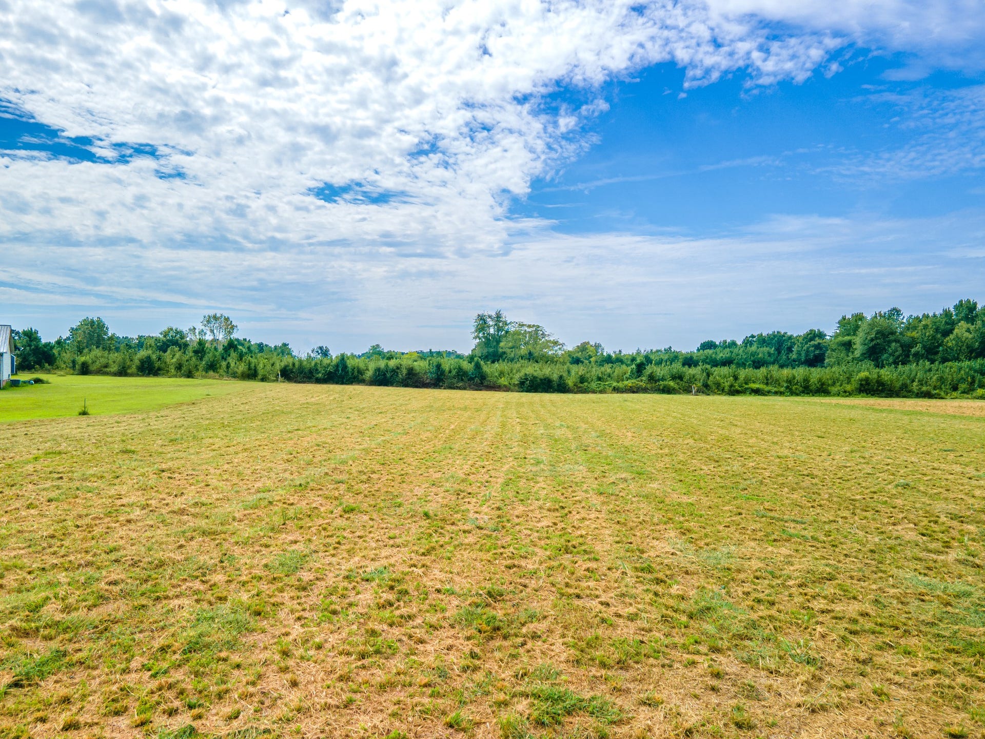 0 Lauren Lane, Mount Pleasant, TN 38474 0 Lauren Lane, Mount Pleasant, TN 38474