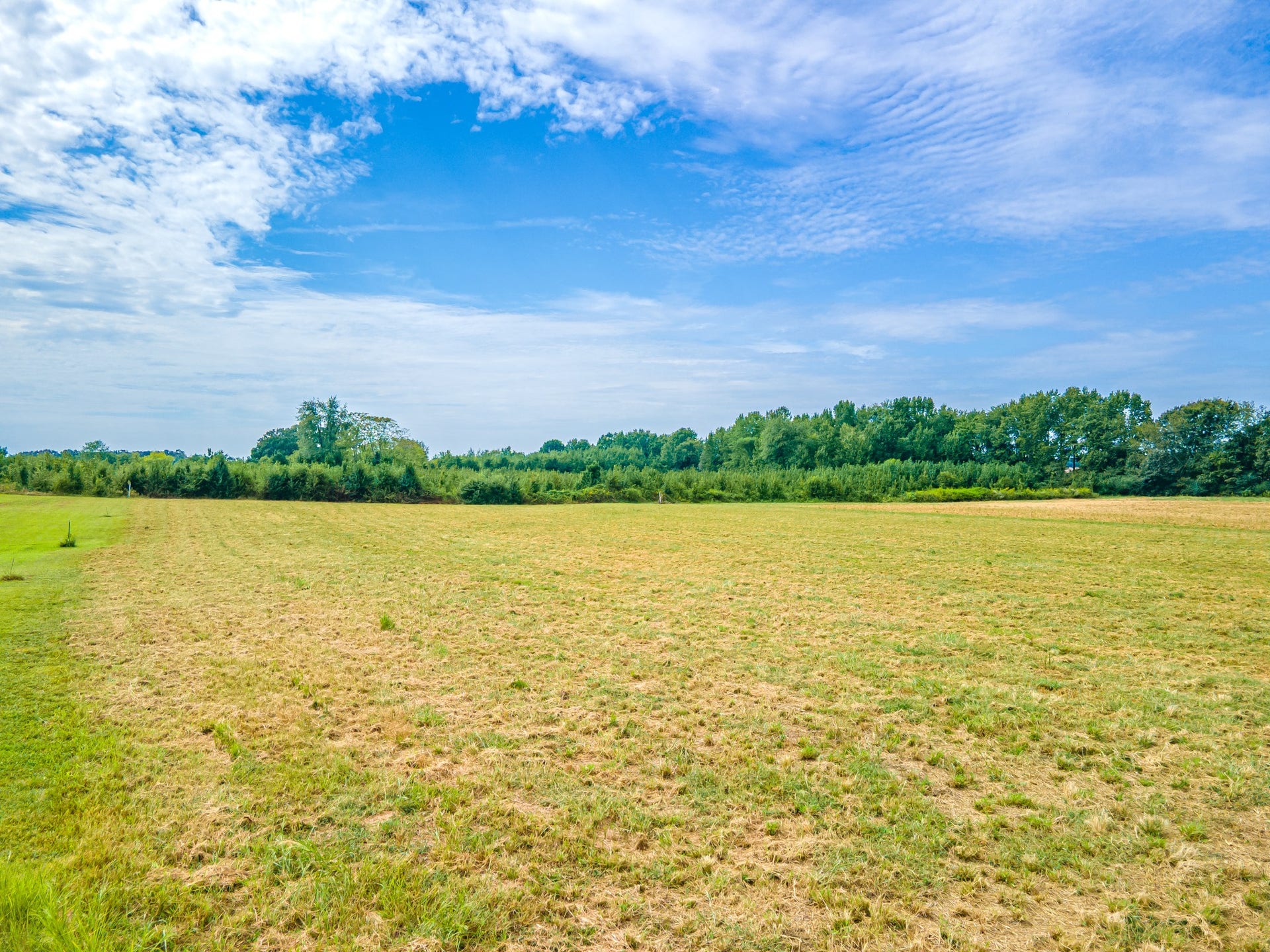 0 Lauren Lane, Mount Pleasant, TN 38474 0 Lauren Lane, Mount Pleasant, TN 38474