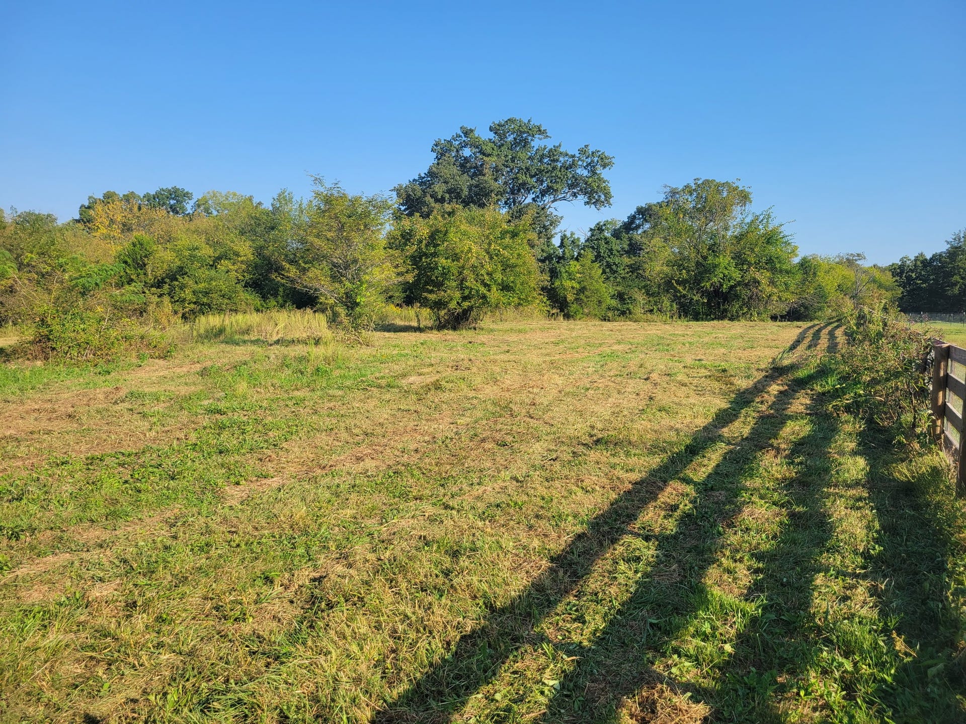 8 Double Branch Road, Columbia, TN 38401 8 Double Branch Road, Columbia, TN 38401