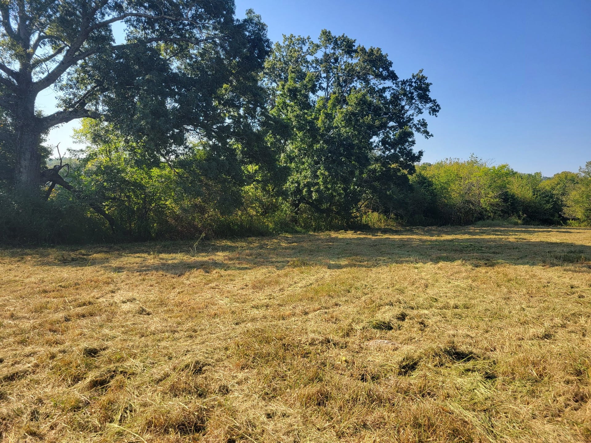 8 Double Branch Road, Columbia, TN 38401 8 Double Branch Road, Columbia, TN 38401