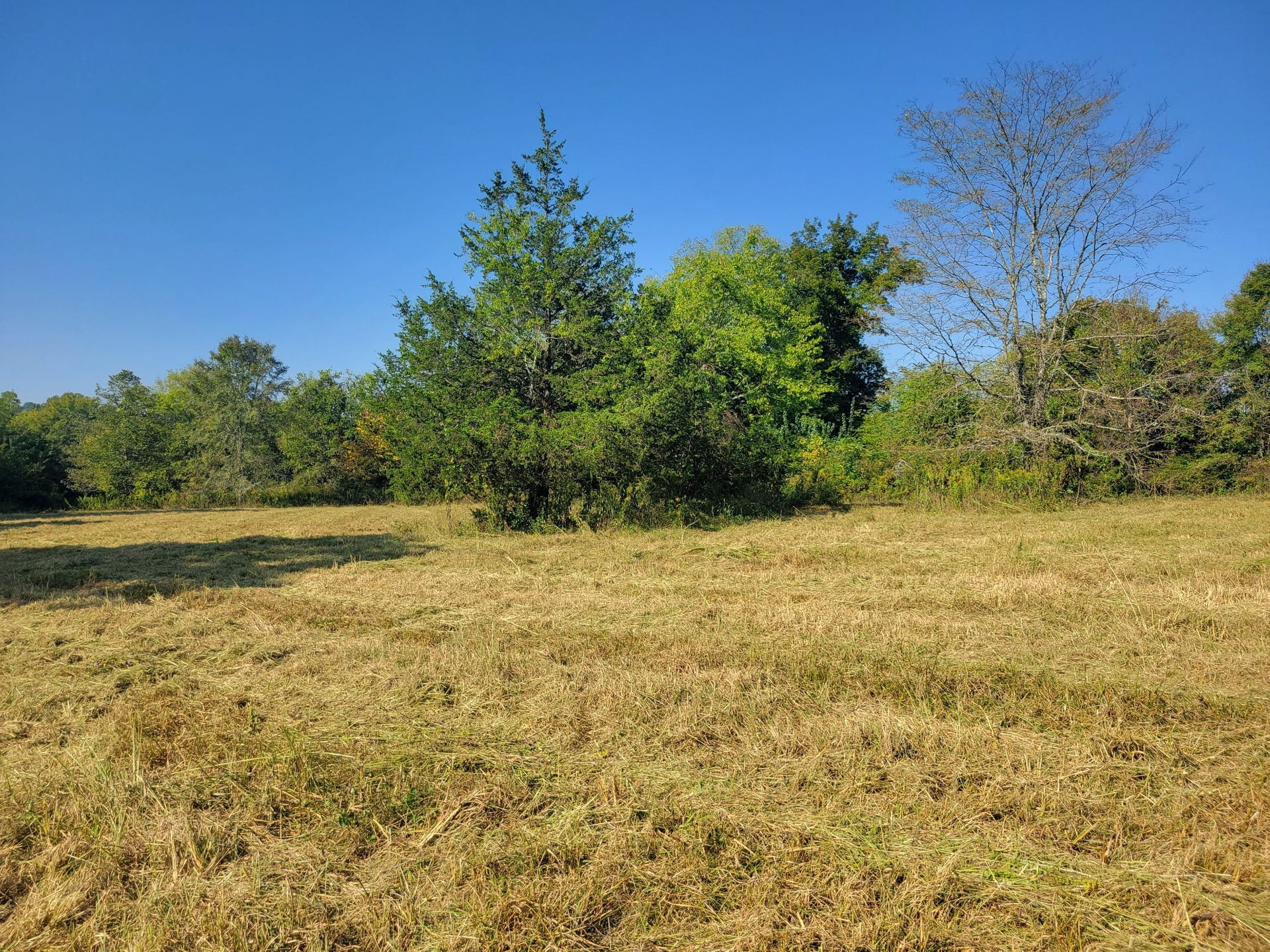 8 Double Branch Road, Columbia, TN 38401 8 Double Branch Road, Columbia, TN 38401