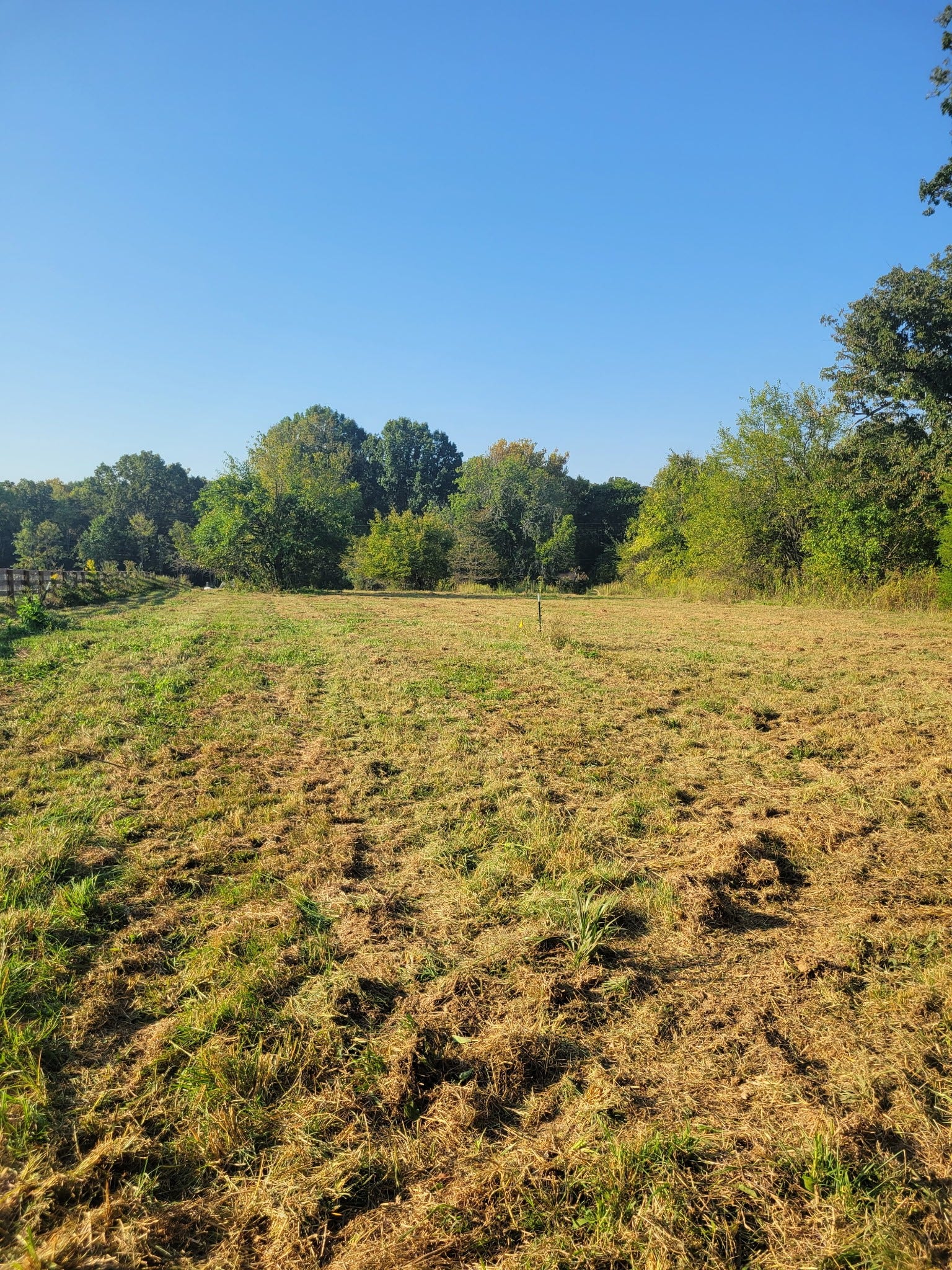 8 Double Branch Road, Columbia, TN 38401 8 Double Branch Road, Columbia, TN 38401