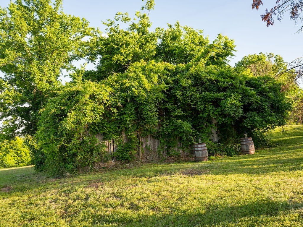 2351 Harlan Rd, Columbia, TN 38401 2351 Harlan Rd, Columbia, TN 38401