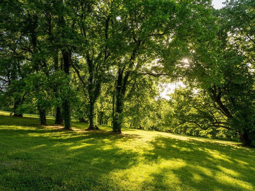 2351 Harlan Rd, Columbia, TN 38401 2351 Harlan Rd, Columbia, TN 38401
