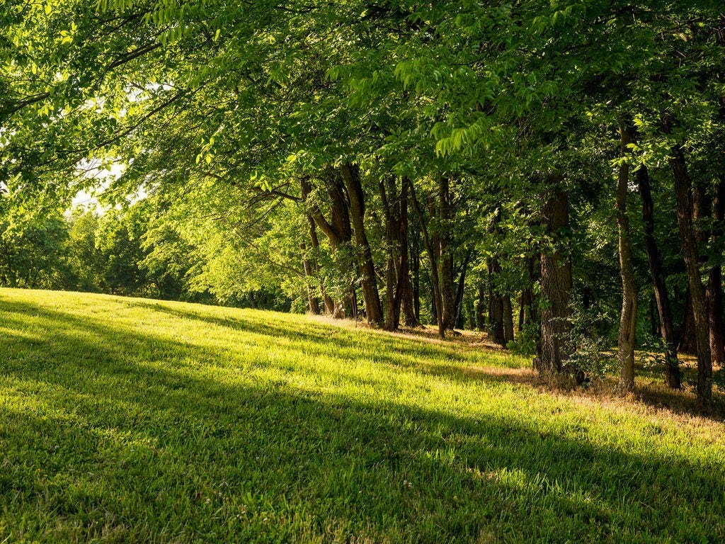2351 Harlan Rd, Columbia, TN 38401 2351 Harlan Rd, Columbia, TN 38401