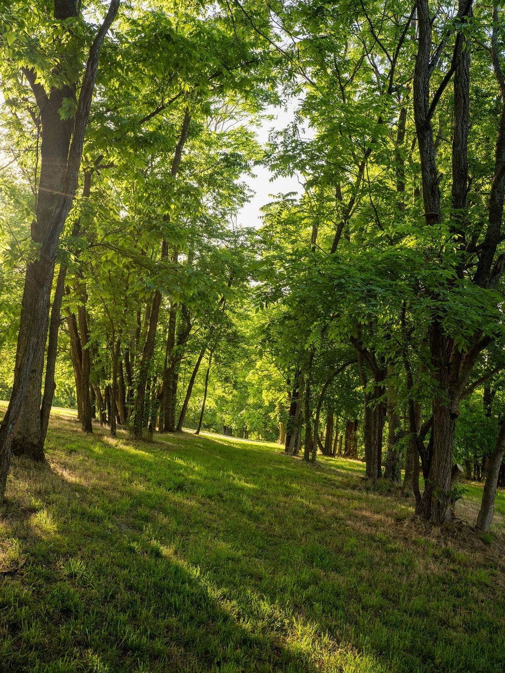 2351 Harlan Rd, Columbia, TN 38401 2351 Harlan Rd, Columbia, TN 38401
