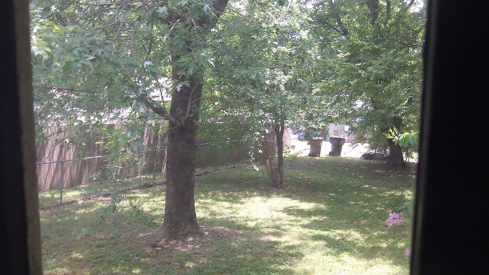 1804 Long Ave, Nashville, TN 37206 Large yard fully enclosed with a 6 ft privacy fence.