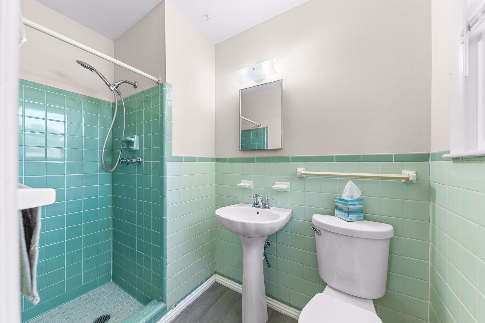 3004 Knud Dr, Columbia, TN 38401 Master bath