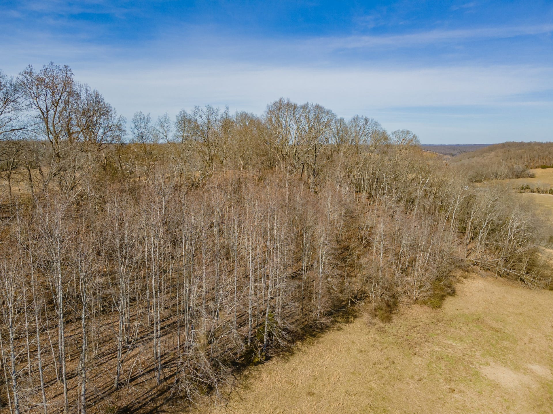 0 Hurricane Creek Rd, Lawrenceburg, TN 38464 0 Hurricane Creek Rd, Lawrenceburg, TN 38464
