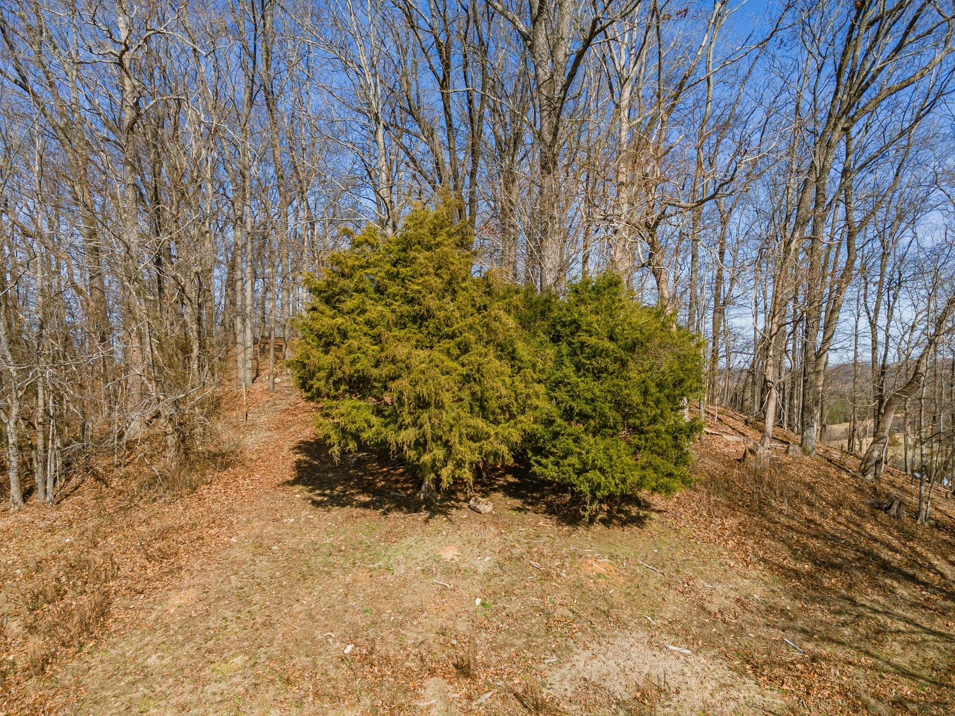 0 Hurricane Creek Rd, Lawrenceburg, TN 38464 0 Hurricane Creek Rd, Lawrenceburg, TN 38464