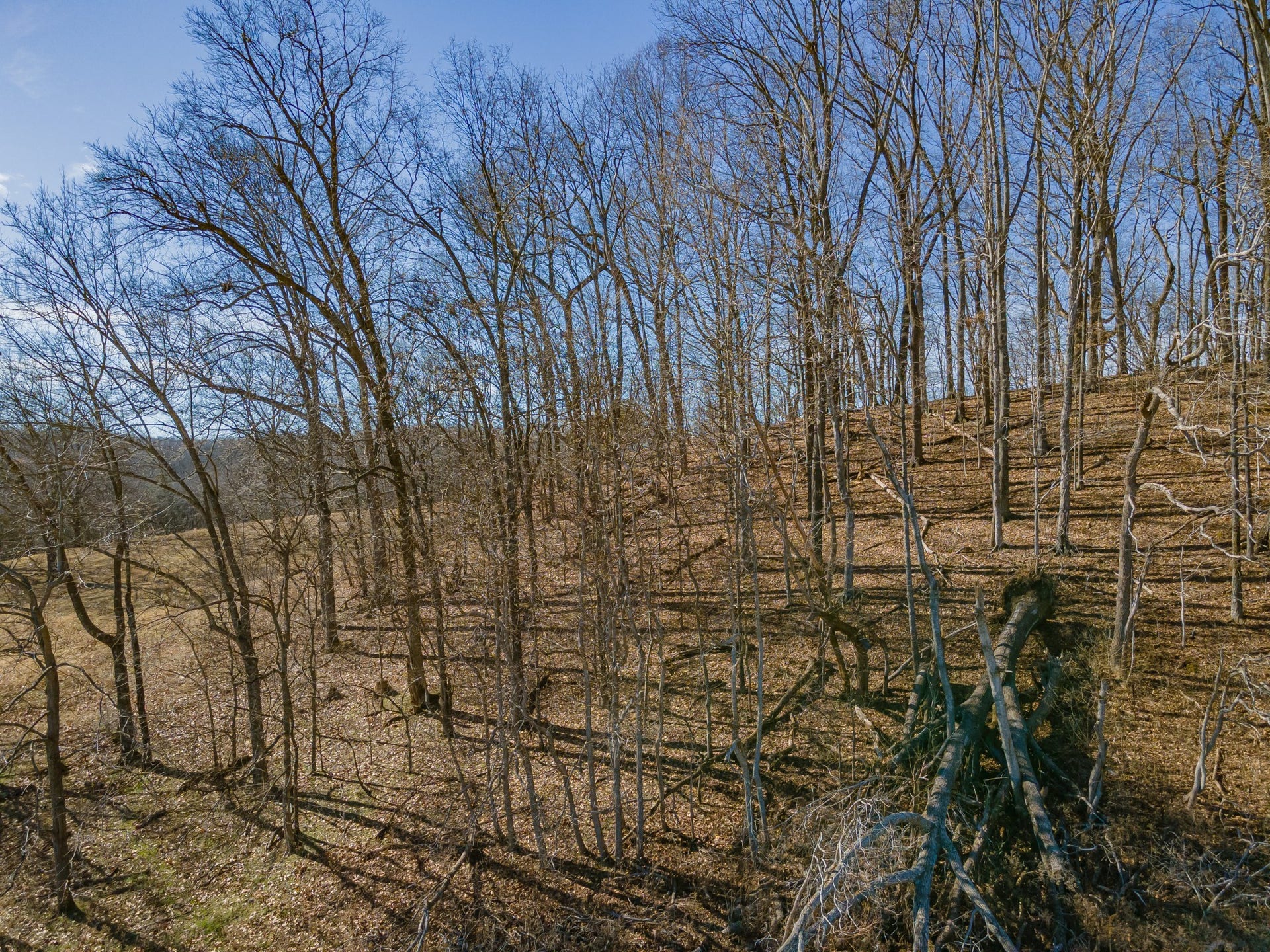 0 Smith Hill, Lawrenceburg, TN 38464 0 Smith Hill, Lawrenceburg, TN 38464