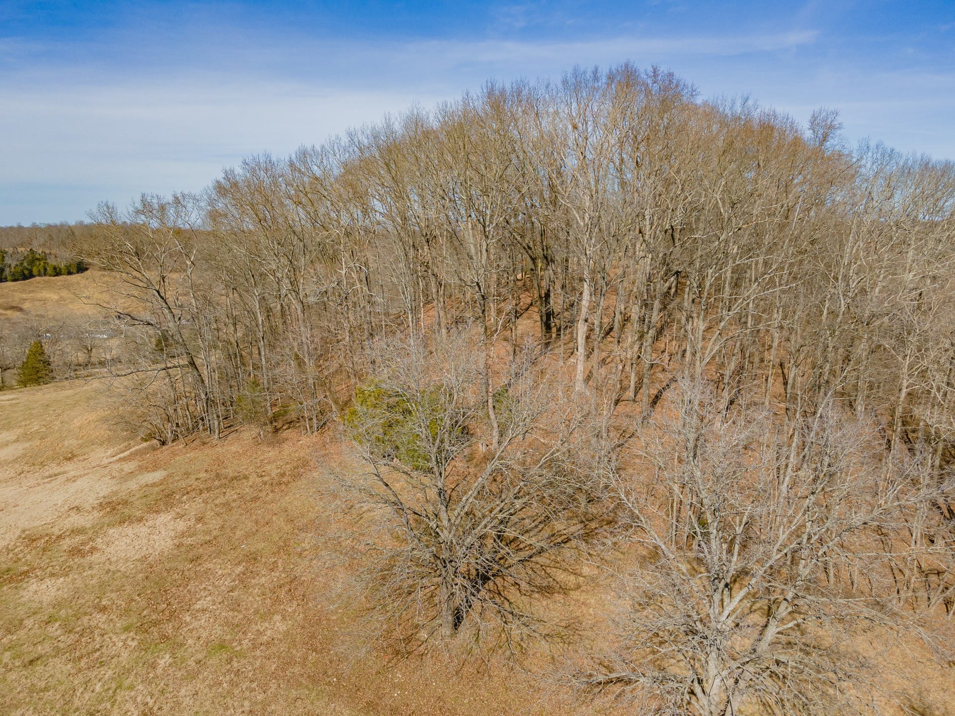 0 Smith Hill, Lawrenceburg, TN 38464 0 Smith Hill, Lawrenceburg, TN 38464