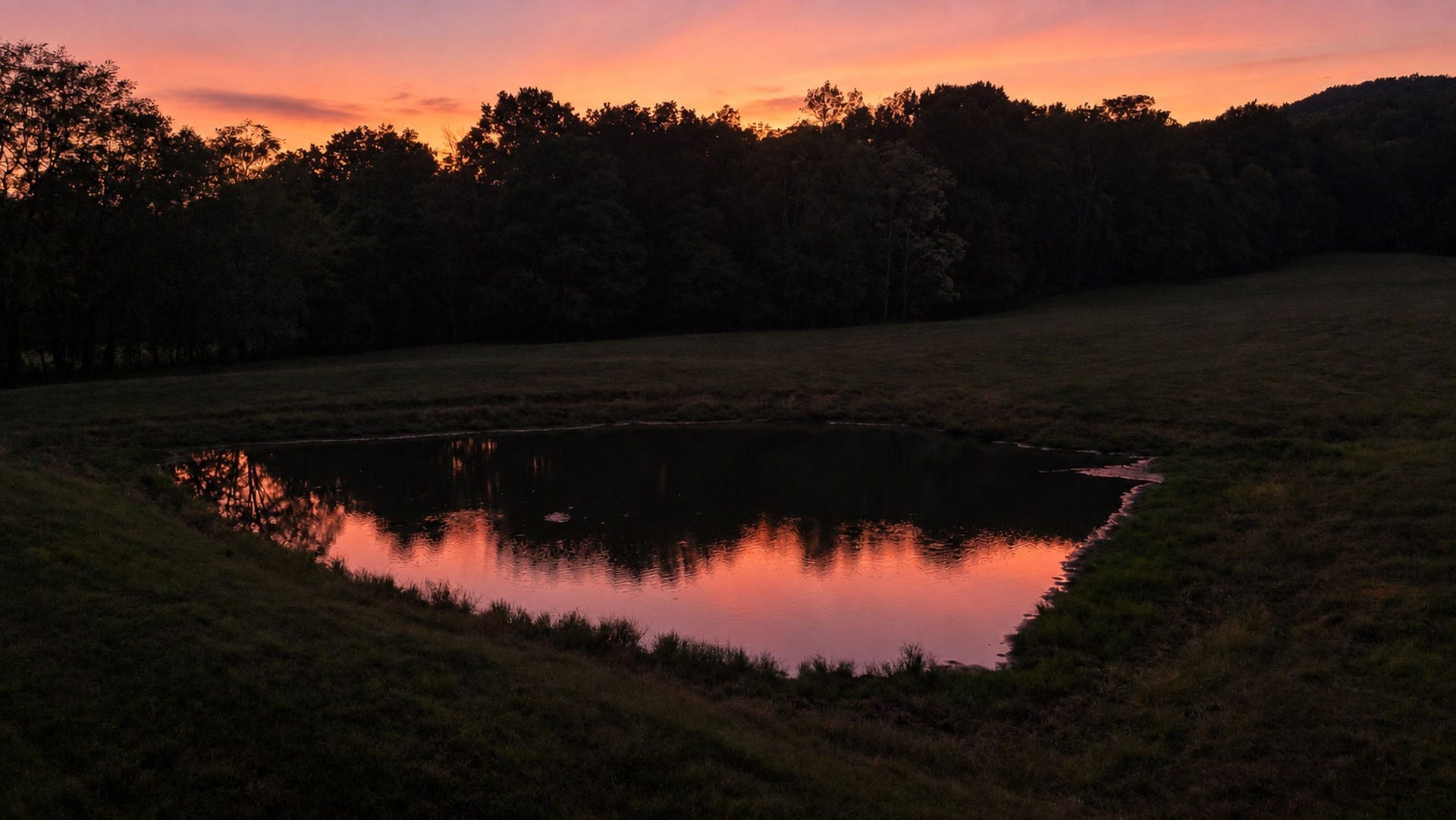 3466 Foster Chapel Rd, Columbia, TN 38401 3466 Foster Chapel Rd, Columbia, TN 38401