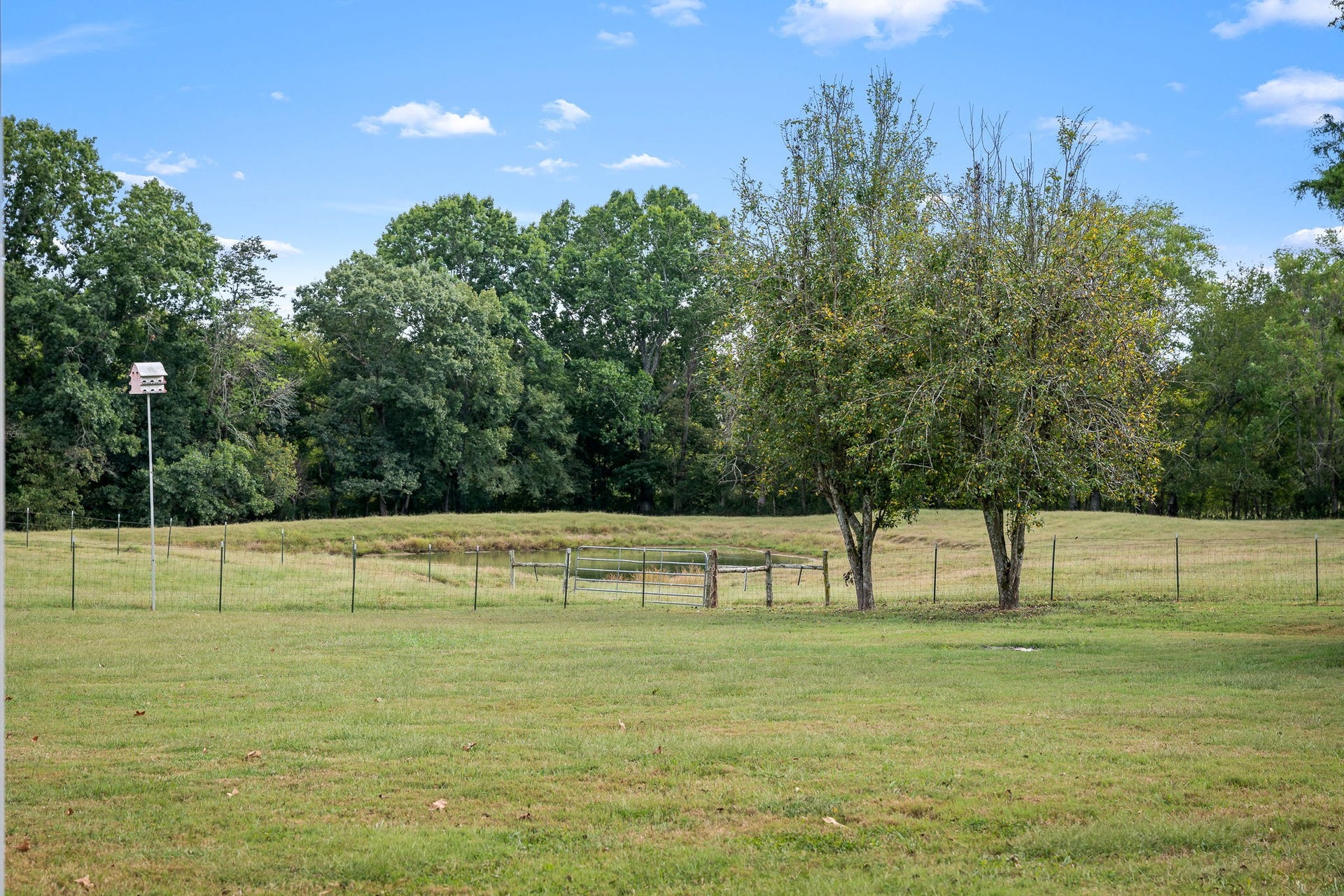 3466 Foster Chapel Rd, Columbia, TN 38401 3466 Foster Chapel Rd, Columbia, TN 38401