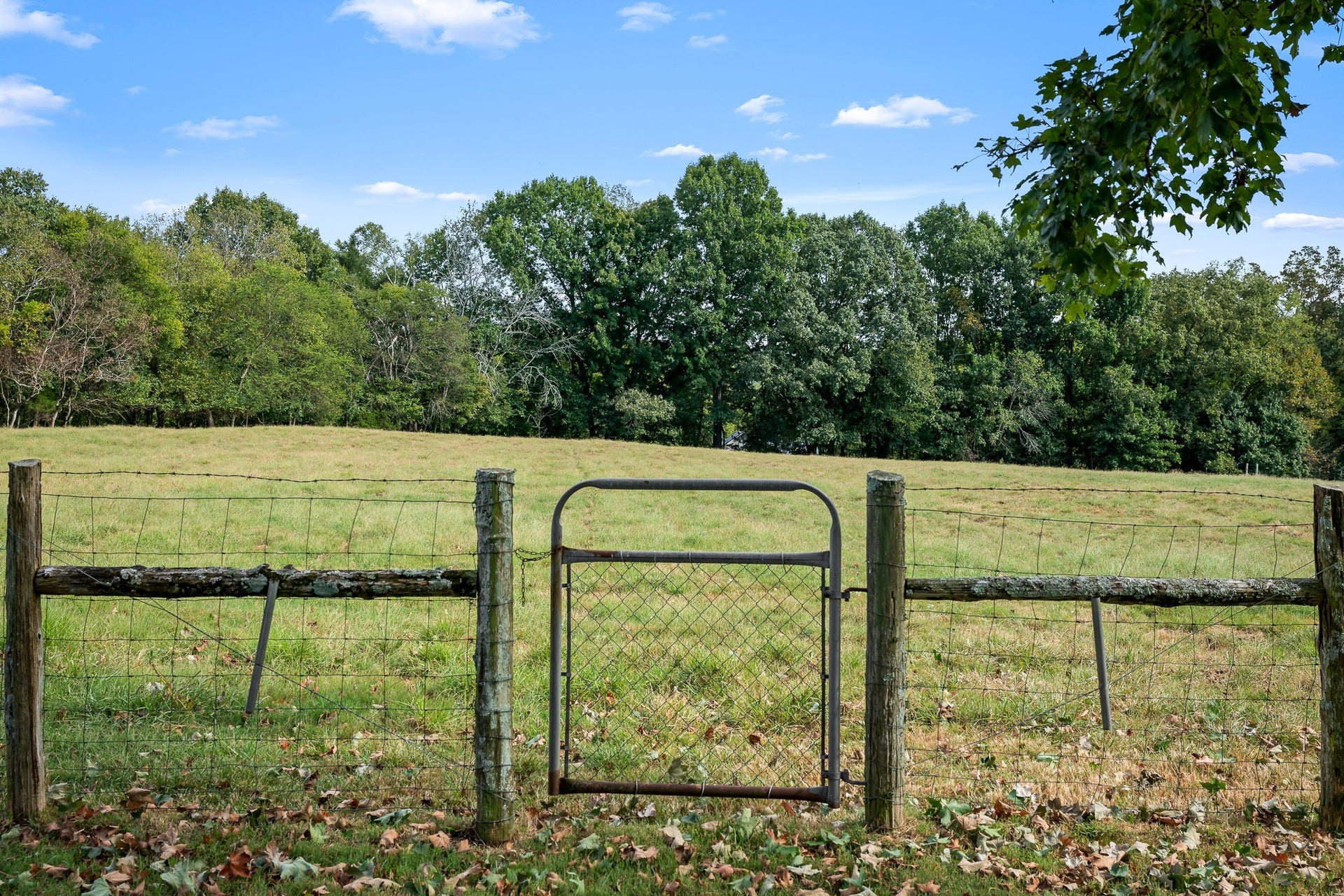3466 Foster Chapel Rd, Columbia, TN 38401 3466 Foster Chapel Rd, Columbia, TN 38401