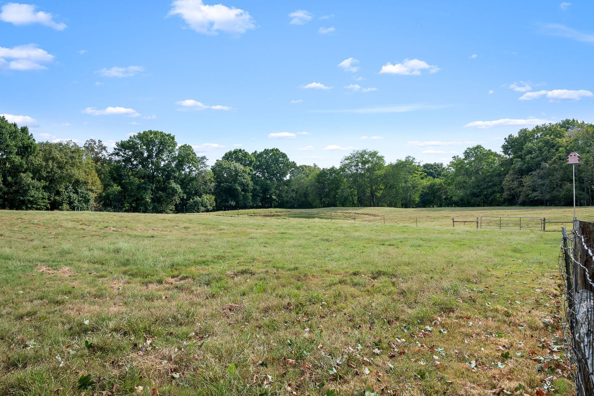 3466 Foster Chapel Rd, Columbia, TN 38401 3466 Foster Chapel Rd, Columbia, TN 38401