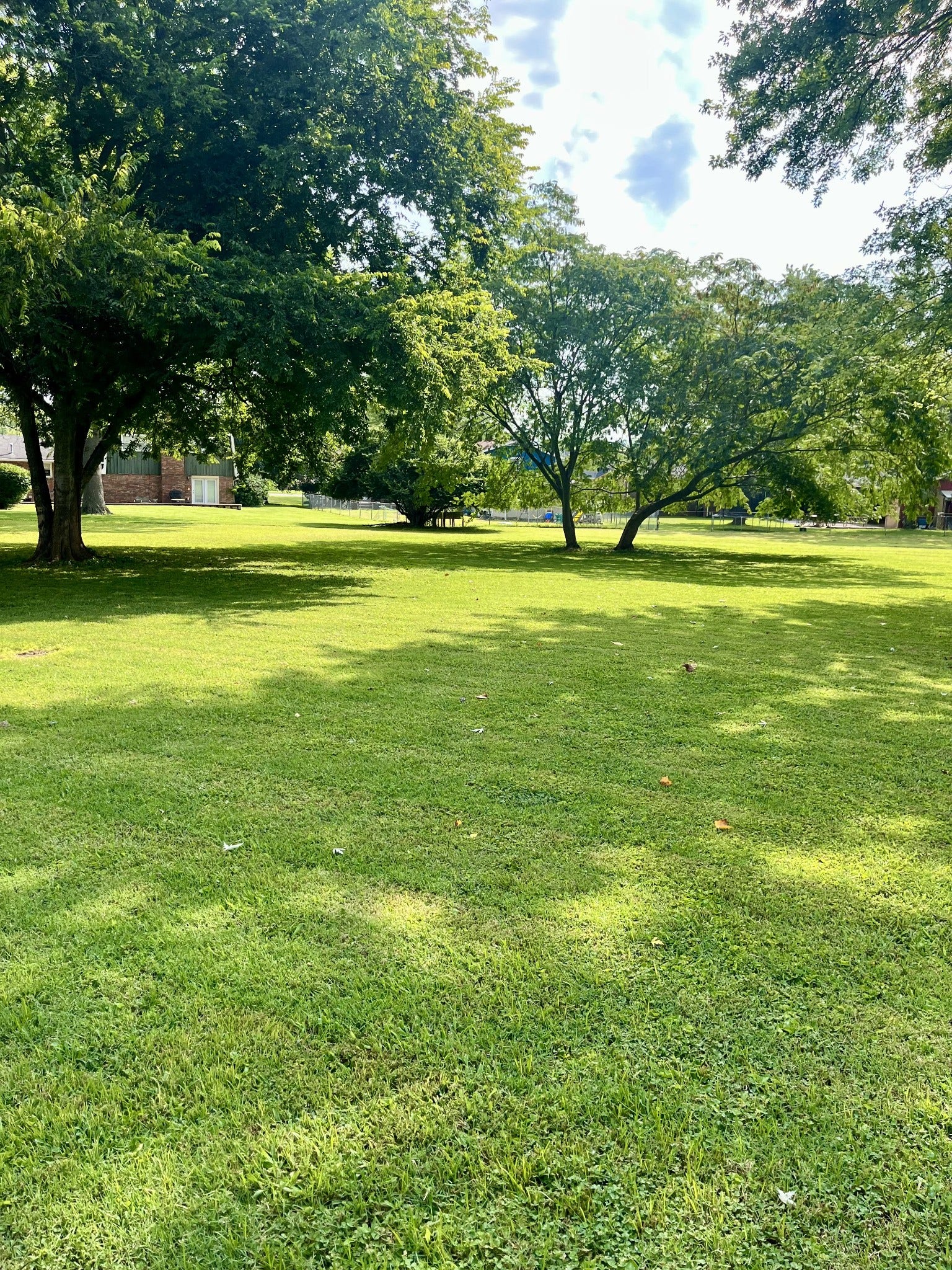 client pics of when yard was green
