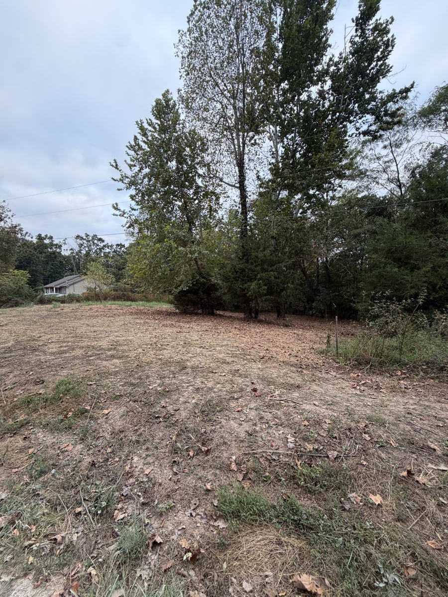 Property photo for 2218 Gina Ln, Mount Pleasant, TN