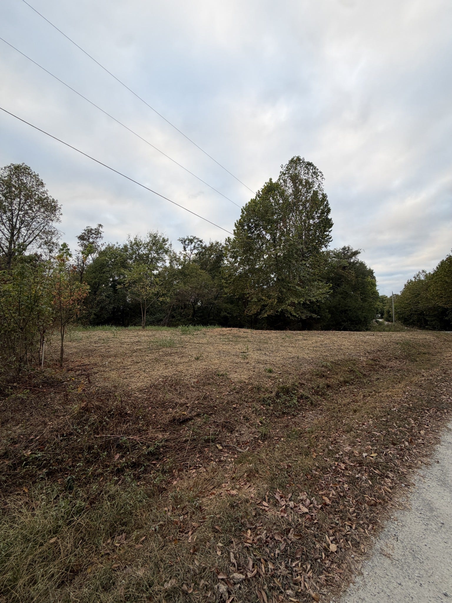 2218 Gina Ln, Mount Pleasant, TN 38474