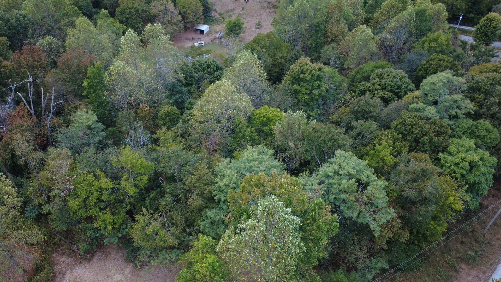 2218 Gina Ln, Mount Pleasant, TN 38474