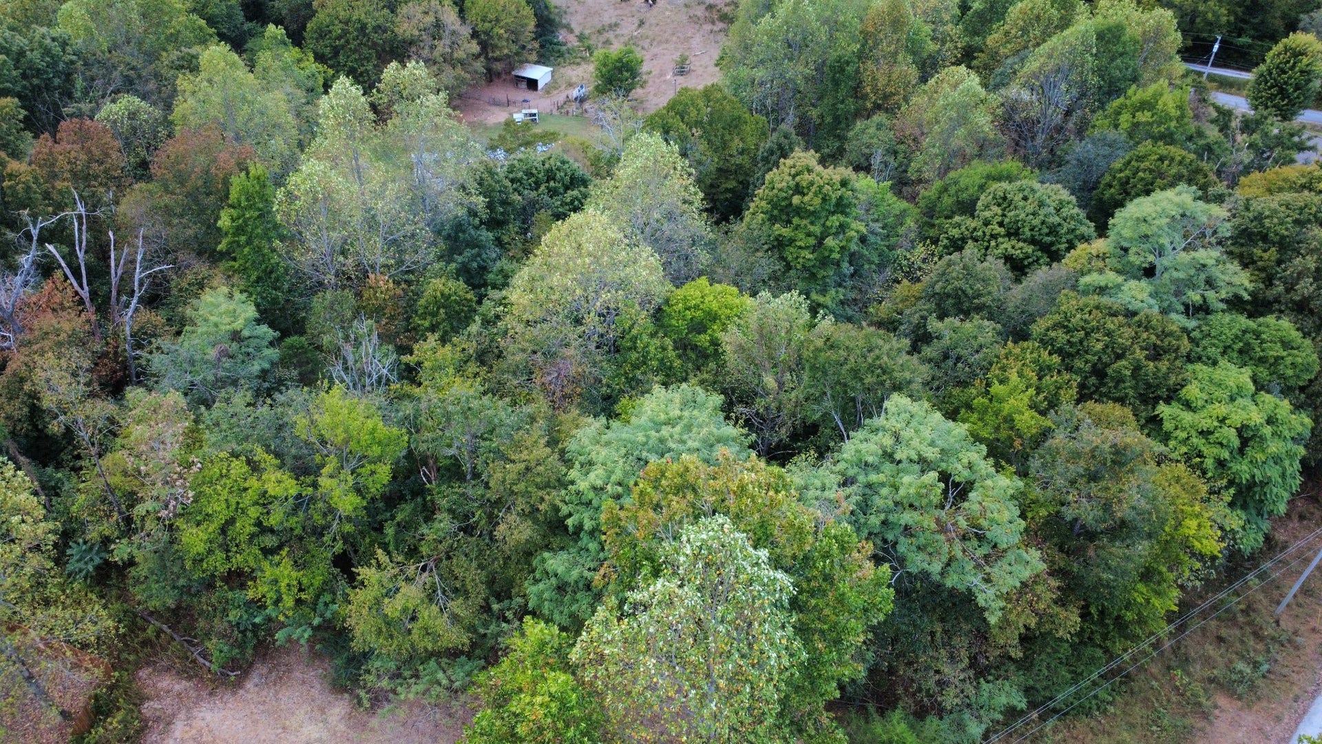 2218 Gina Ln, Mount Pleasant, TN 38474