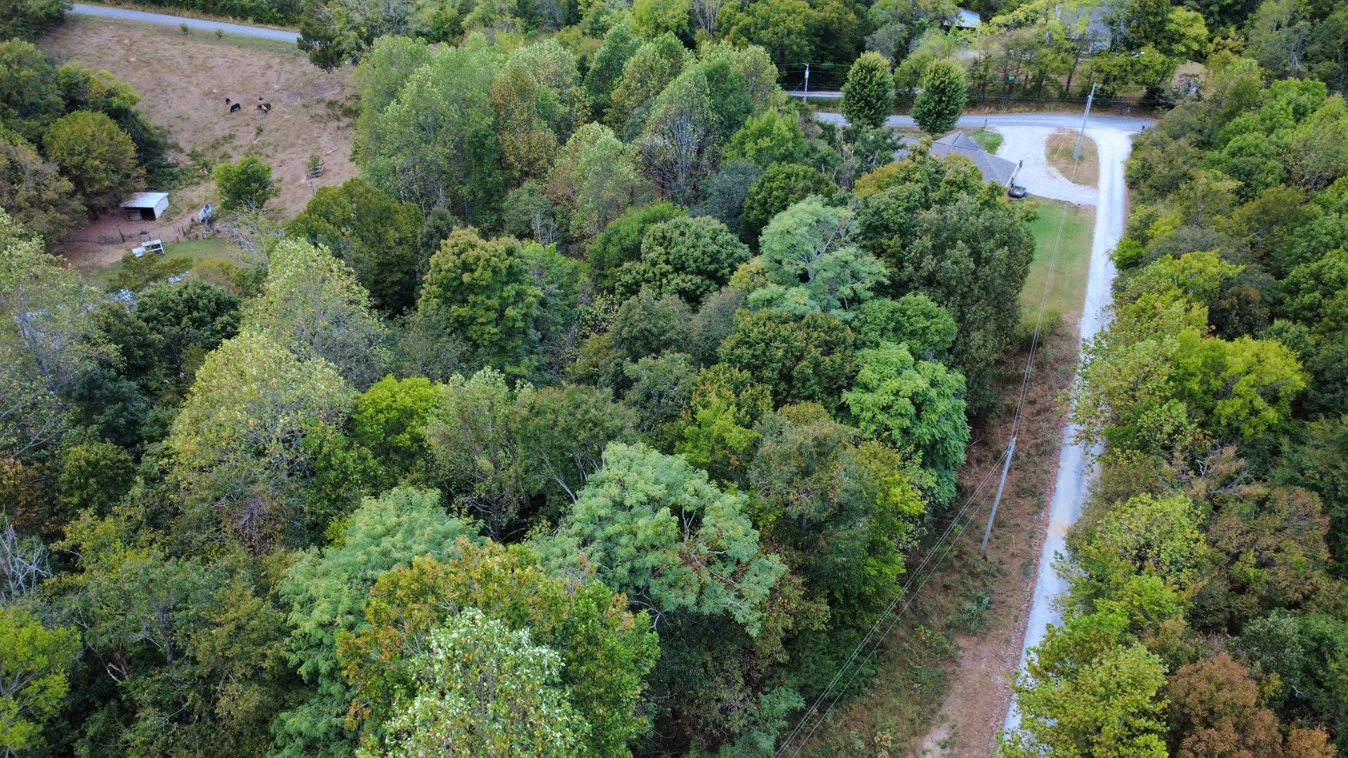 2218 Gina Ln, Mount Pleasant, TN 38474