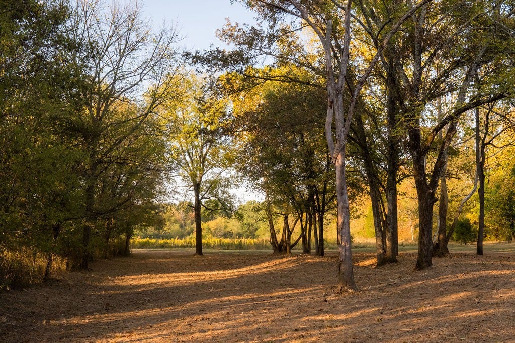 2434 Rally Hill Rd, Columbia, TN 38401 2434 Rally Hill Rd, Columbia, TN 38401
