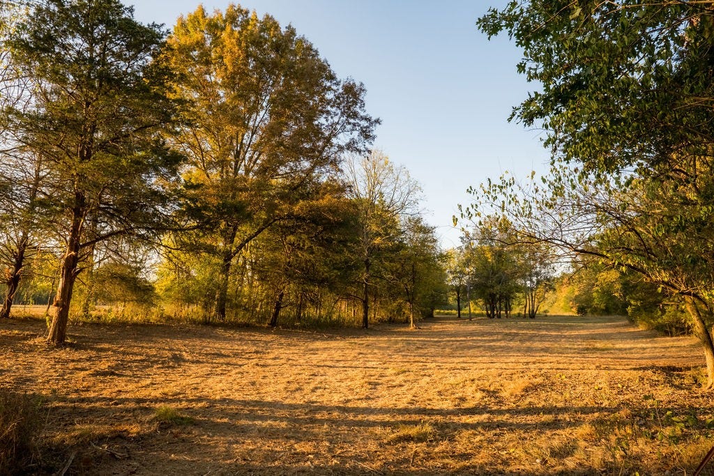 2434 Rally Hill Rd, Columbia, TN 38401 2434 Rally Hill Rd, Columbia, TN 38401