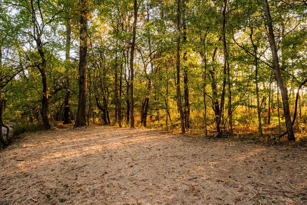 2434 Rally Hill Rd, Columbia, TN 38401 2434 Rally Hill Rd, Columbia, TN 38401