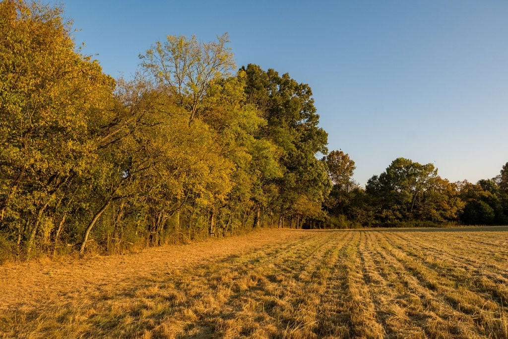 2434 Rally Hill Rd, Columbia, TN 38401 2434 Rally Hill Rd, Columbia, TN 38401