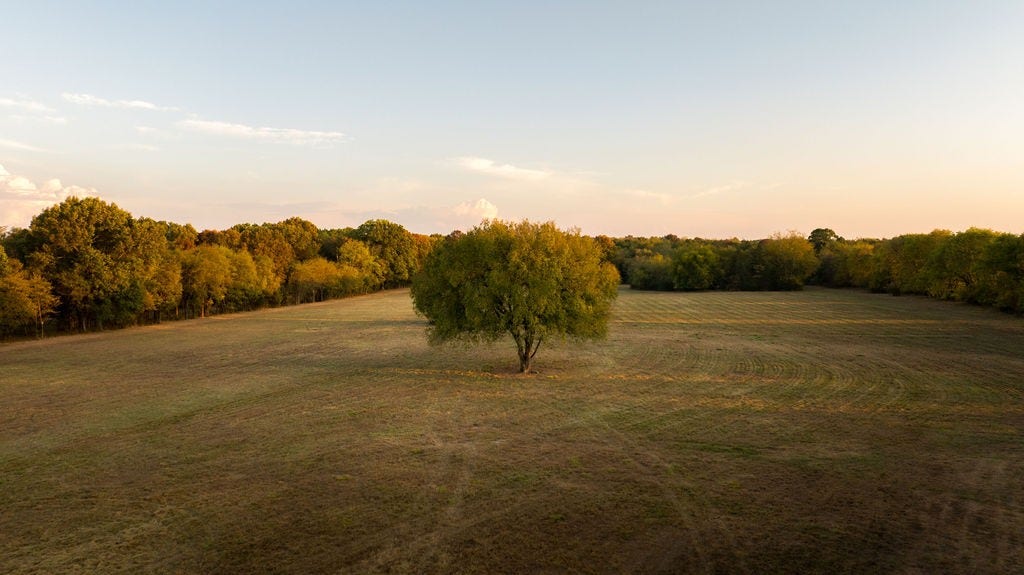 2434 Rally Hill Rd, Columbia, TN 38401 2434 Rally Hill Rd, Columbia, TN 38401