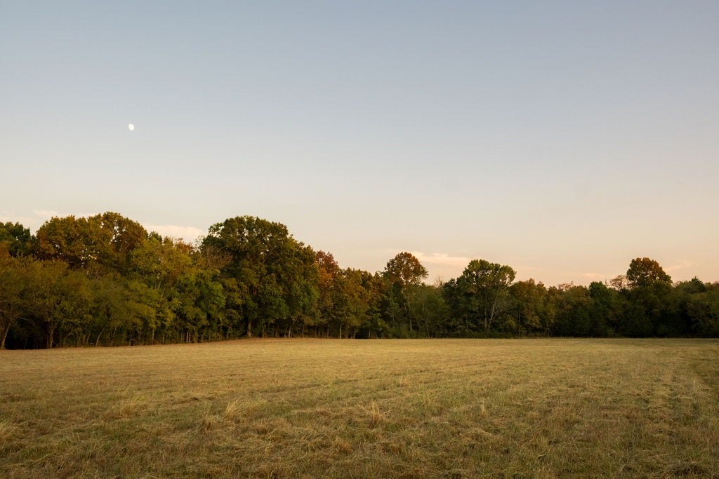 2434 Rally Hill Rd, Columbia, TN 38401 2434 Rally Hill Rd, Columbia, TN 38401