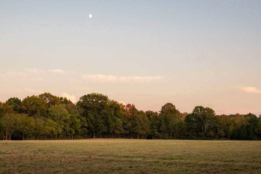 2434 Rally Hill Rd, Columbia, TN 38401 2434 Rally Hill Rd, Columbia, TN 38401
