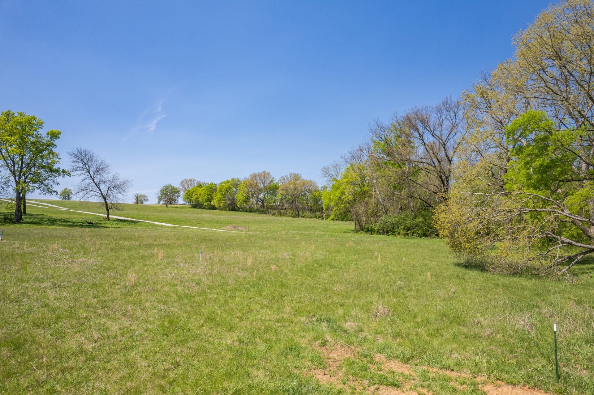 0 Old Zion Rd, Columbia, TN 38401 0 Old Zion Rd, Columbia, TN 38401