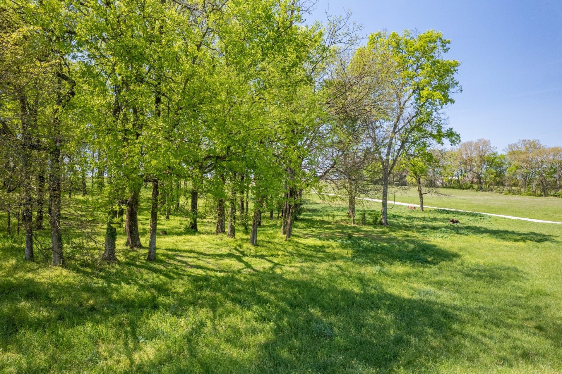 0 Old Zion Rd, Columbia, TN 38401 0 Old Zion Rd, Columbia, TN 38401