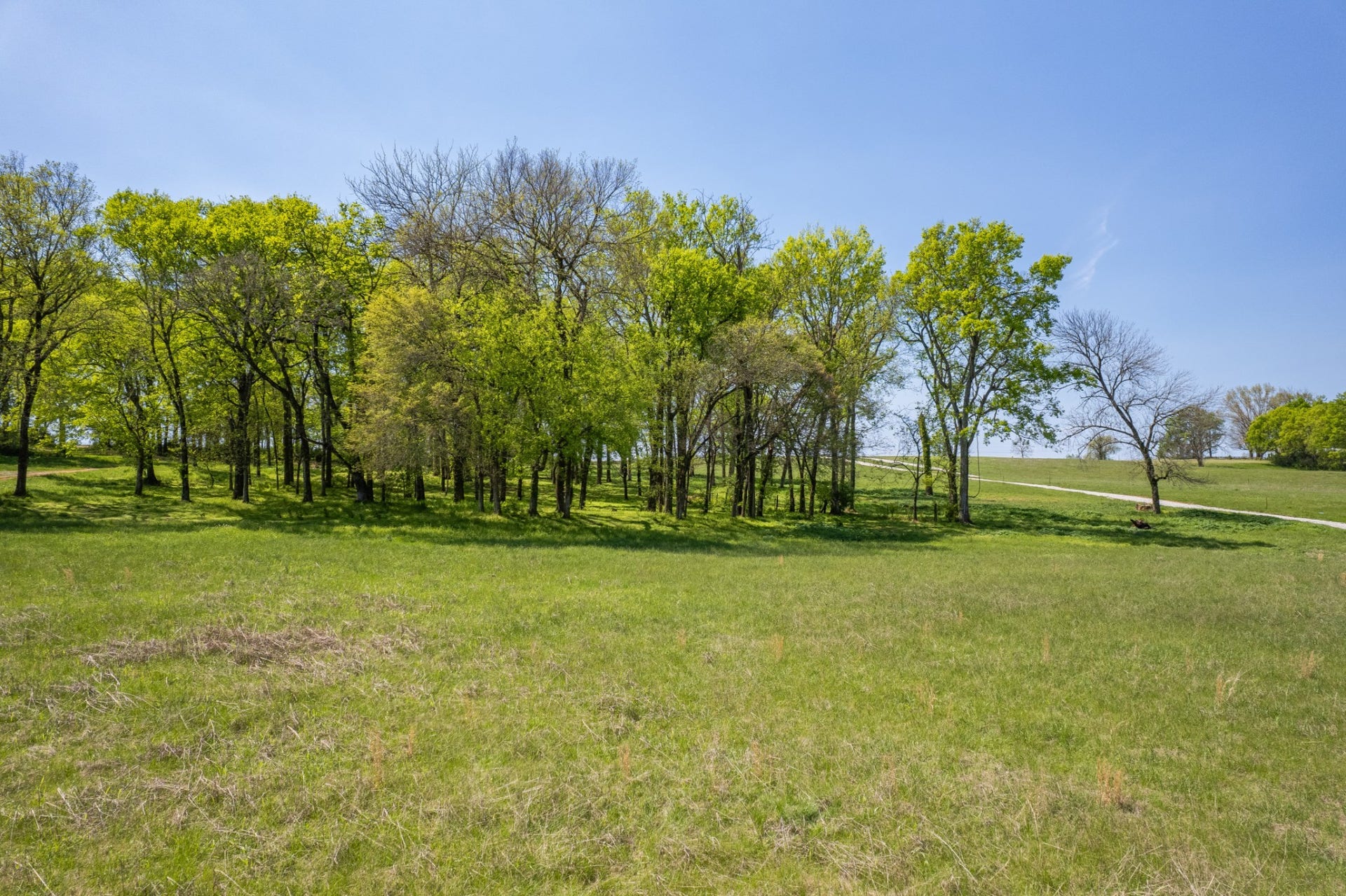 0 Old Zion Rd, Columbia, TN 38401 0 Old Zion Rd, Columbia, TN 38401