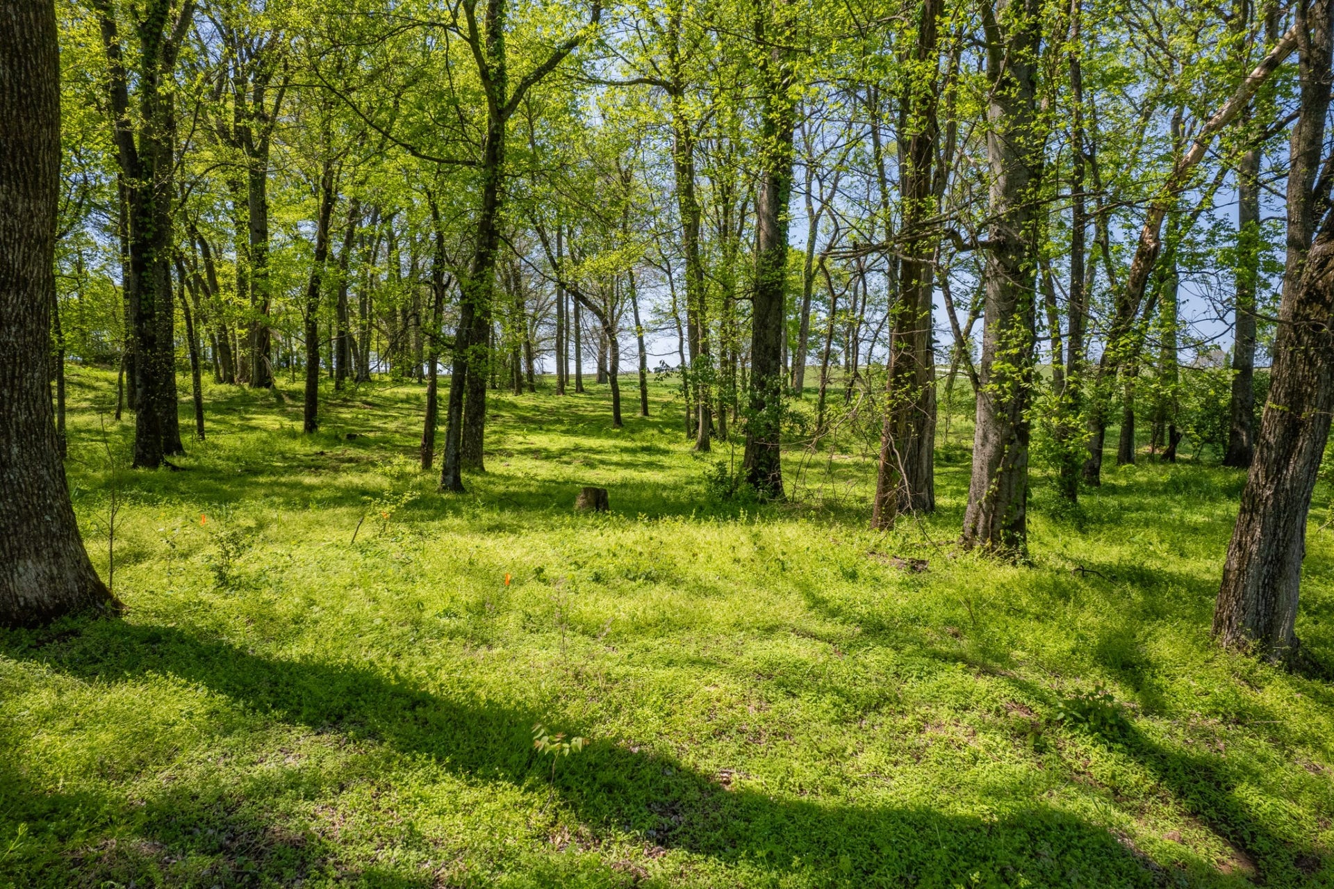 0 Old Zion Rd, Columbia, TN 38401 0 Old Zion Rd, Columbia, TN 38401