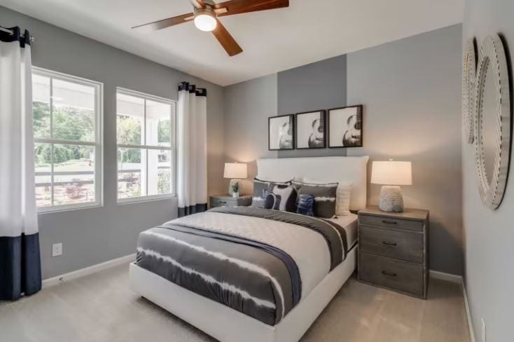 3642 Haplander Court, Columbia, TN 38401 Staged Model